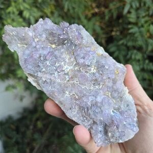 Rose Amethyst Brazil